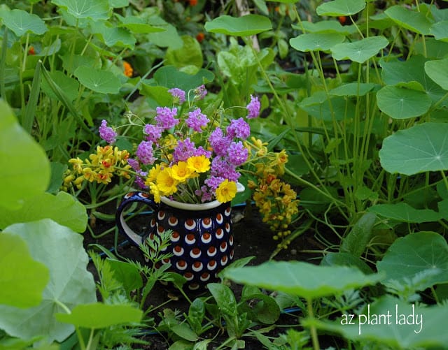 Christmas Garden Bouquet