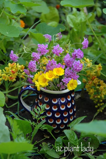 Garden Bouquet