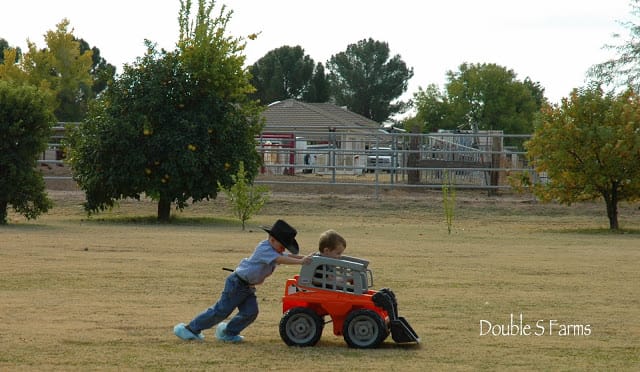 Double S Farms 