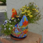 ceramic planter