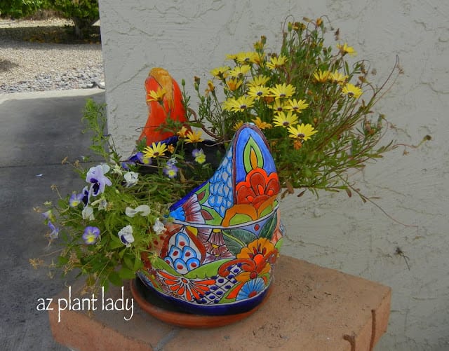 ceramic planter