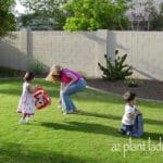 Easter egg hunts
