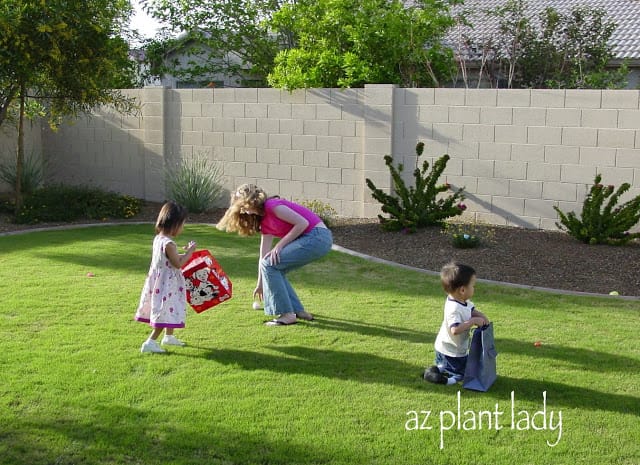 My two daughters and my son searching for the elusive Easter eggs