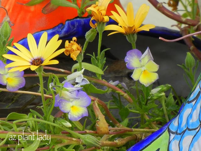 ceramic planter