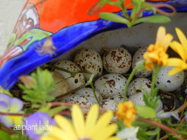 ceramic planter