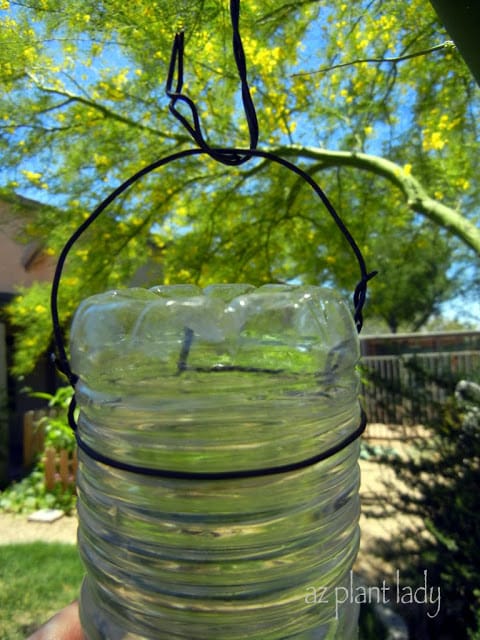 Hummingbird Feeder