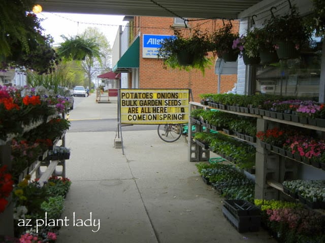 Amish farms