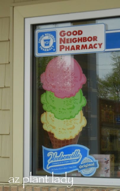 3 scoops of ice cream