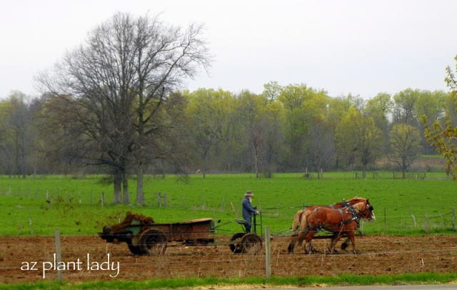 beautiful countryside