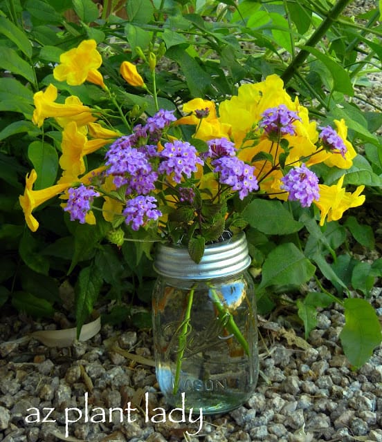 Creating a bouquet