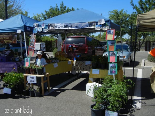 local farmer's market