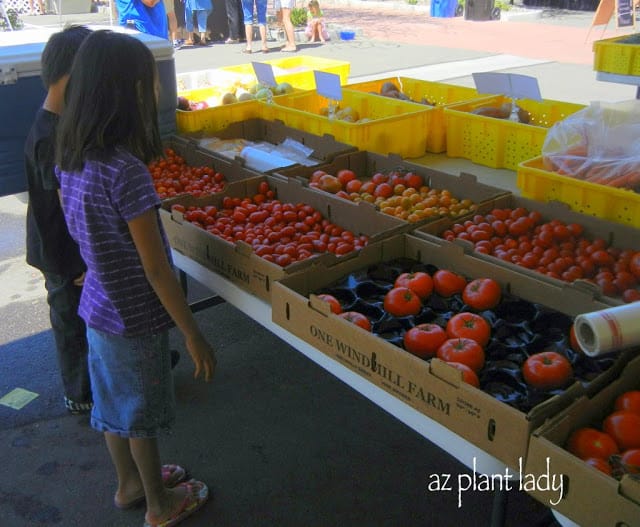 farmer market