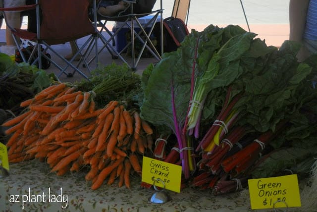 local farmer's market