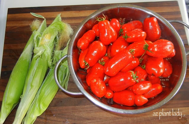 San Marzano Tomatoes and fresh, Sweet Corn