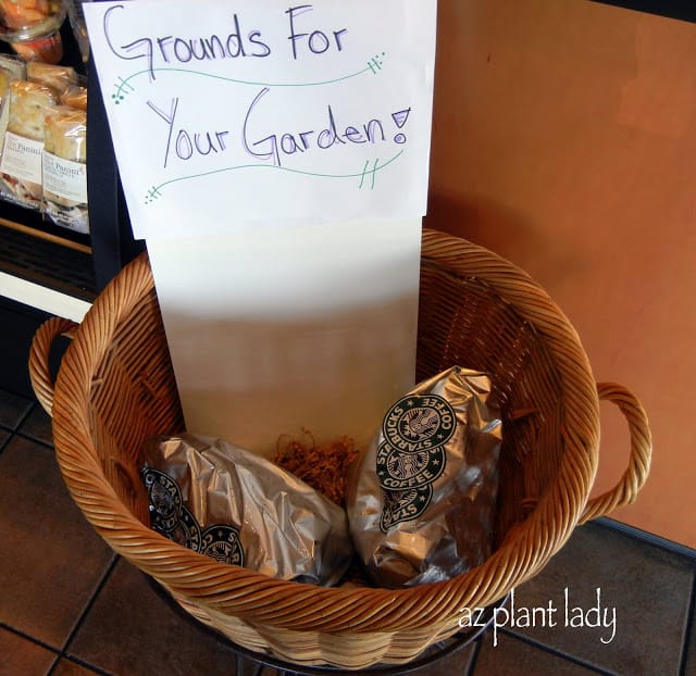 Does Starbucks Give Away Coffee Grounds 