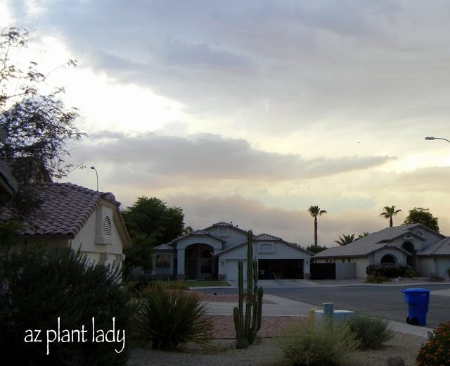 You can just see the dust cloud in the distance behind the homes