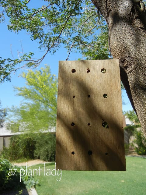 attract leaf cutter bees