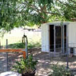 A Toad, Star Wars and a Chicken Coop....