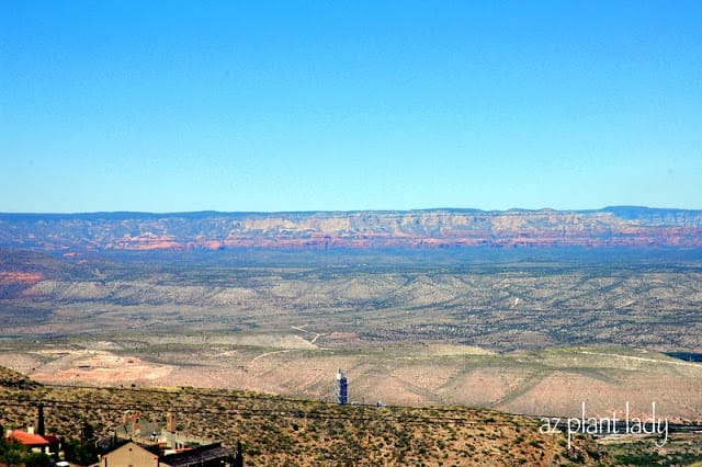 largest ghost town