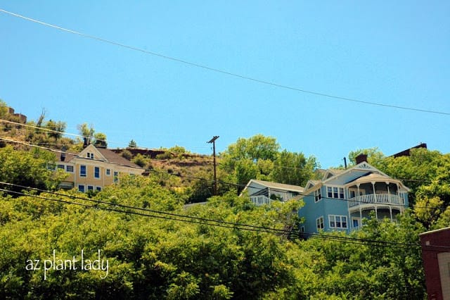 largest ghost town