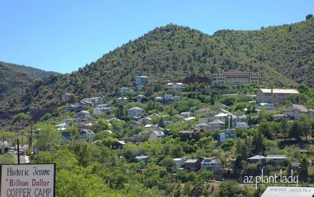 town of Jerome