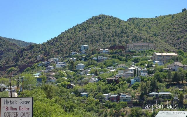 largest ghost town