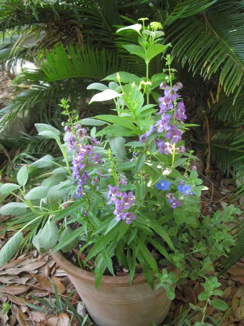 Beautiful Bouquet