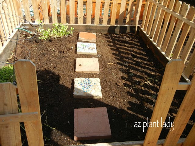 Fall vegetable garden