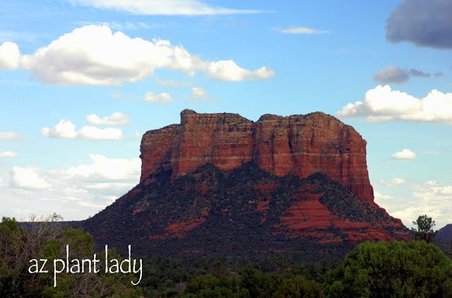 Sedona Arizona