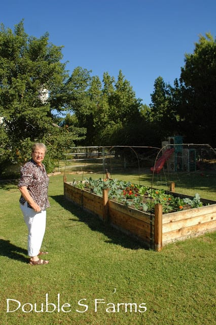 fall vegetable garden