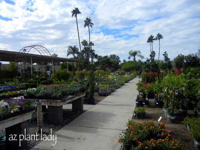 local nursery