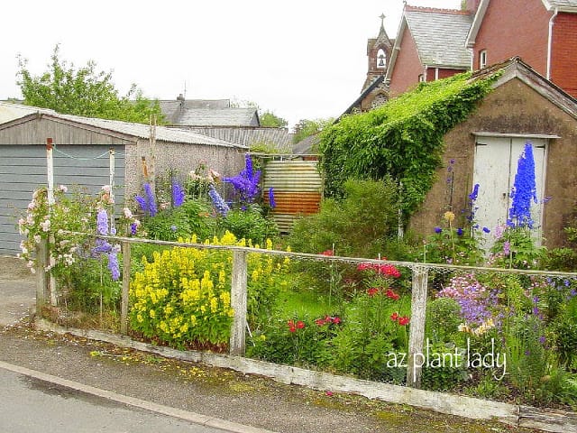 Hidden Garden in the Smallest Place