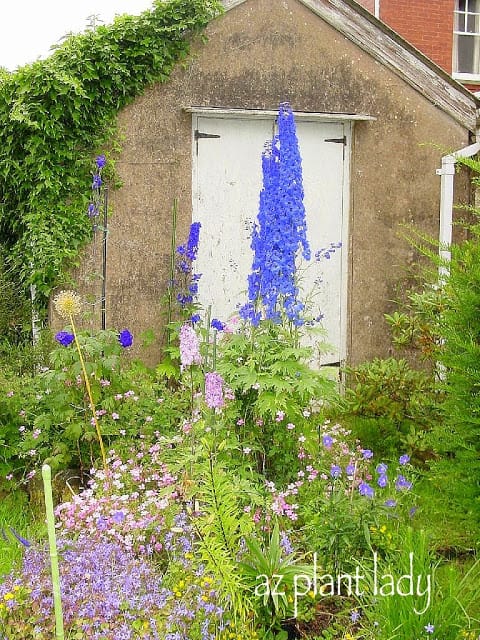 Hidden Garden in the Smallest Place