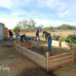 Vegetable Garden