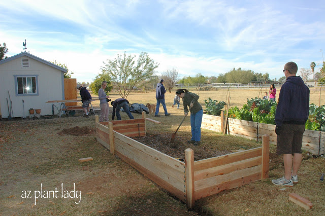 Vegetable Garden