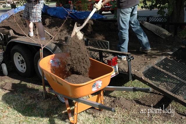 compost 