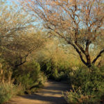 Riparian-Preserve-pathway