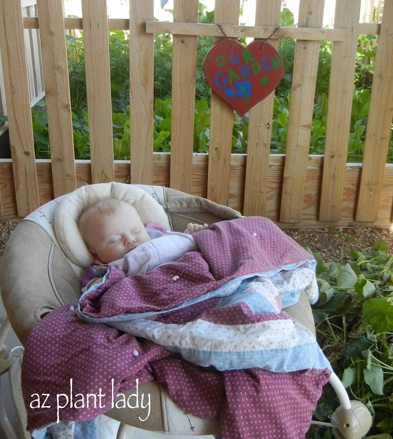 existing vegetable garden