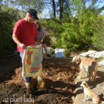 new vegetable garden