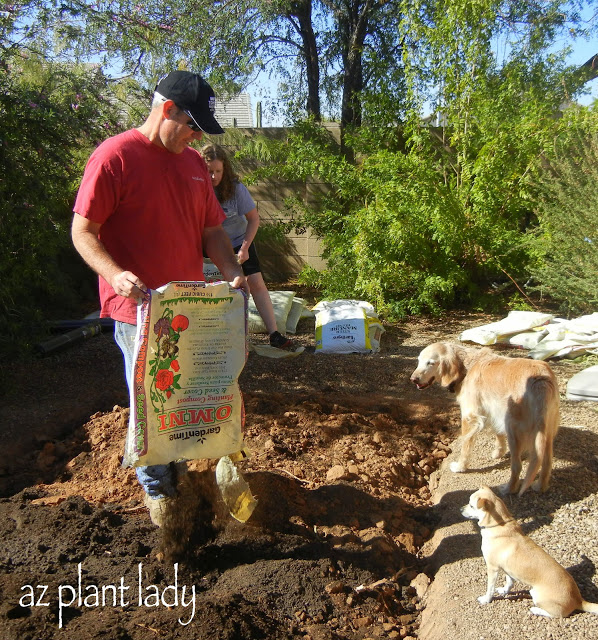 new vegetable garden