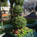 Ivy pruned into a topiary surrounded by pansies