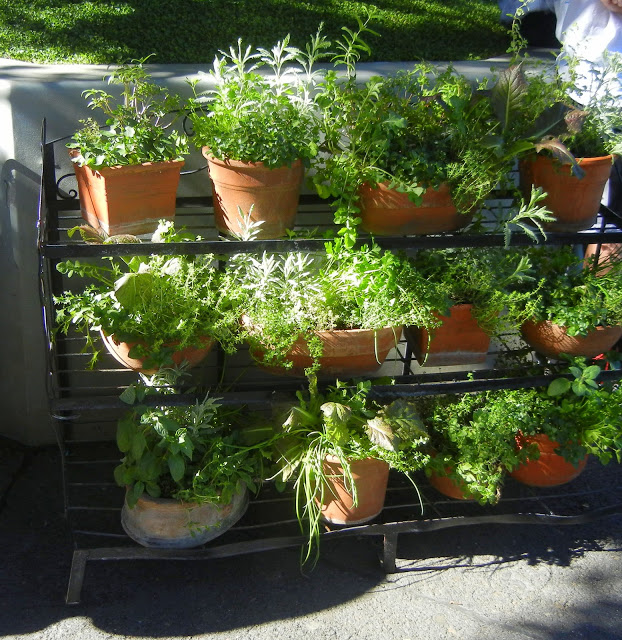 herb-planted containers