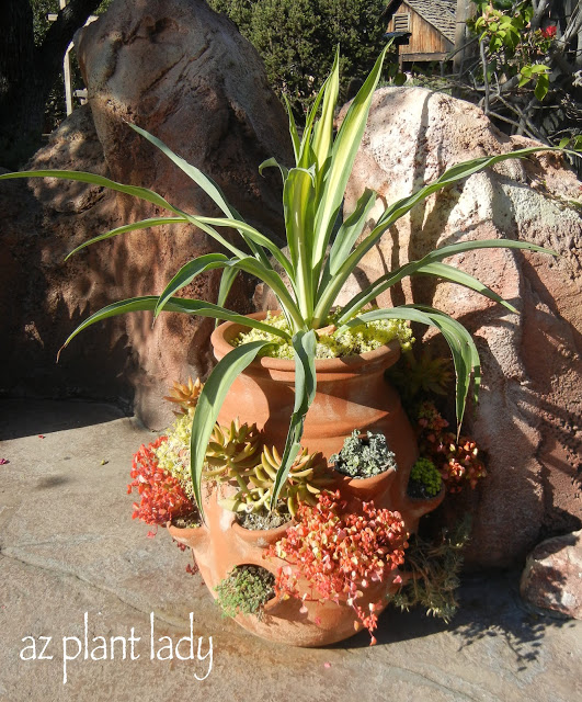 container planting