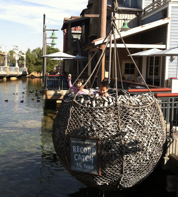 fisherman's net