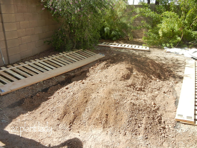 New Vegetable Garden