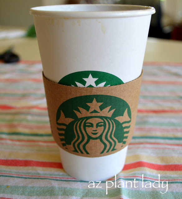 starbucks paper coffee cup