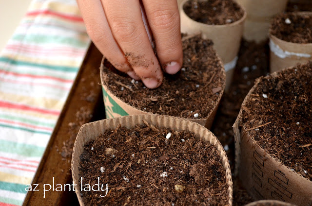  coffee cup containers 