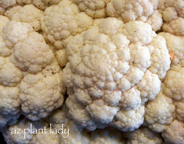 cauliflower 