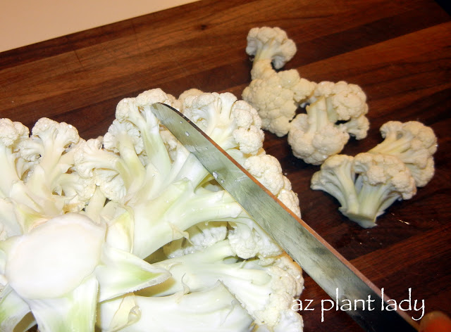 growing cauliflower