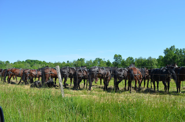 Amish country